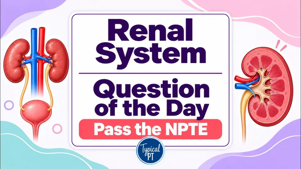 Free NPTE practice questions help you master chronic kidney disease and renal system concepts
